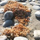 Stones of Lanzarote