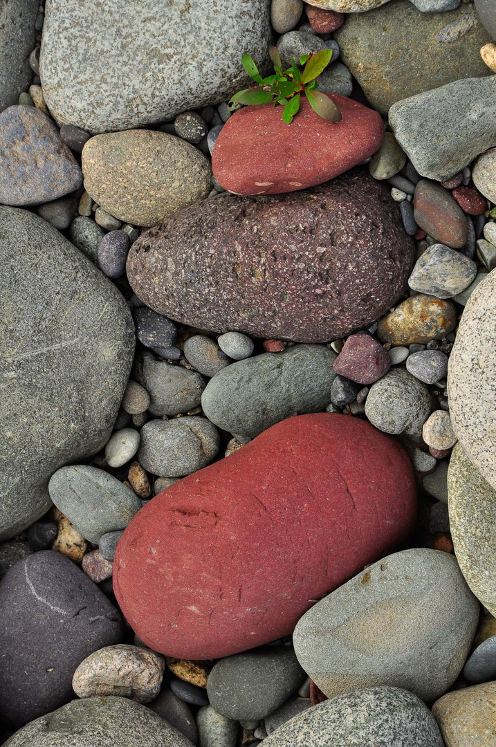 stones of the skeenariver