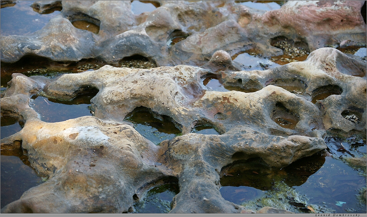 Stones on the shore