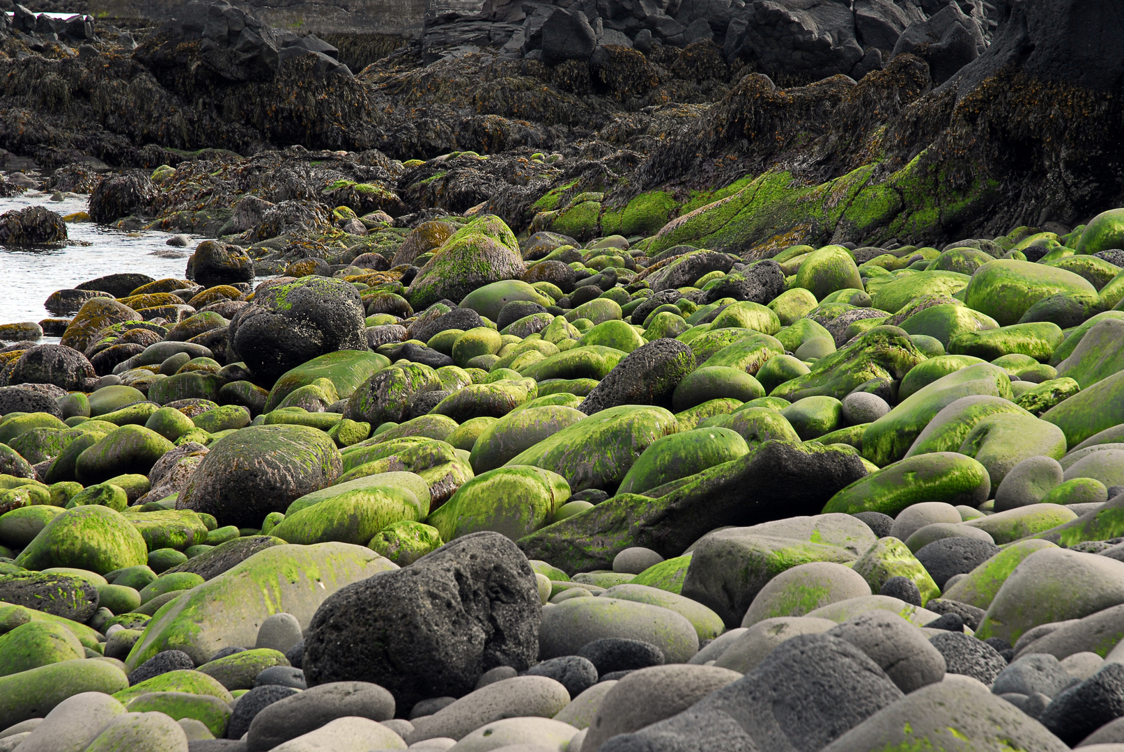 Stones / Snæfellsjökull-Nationalpark