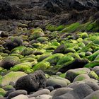 Stones / Snæfellsjökull-Nationalpark