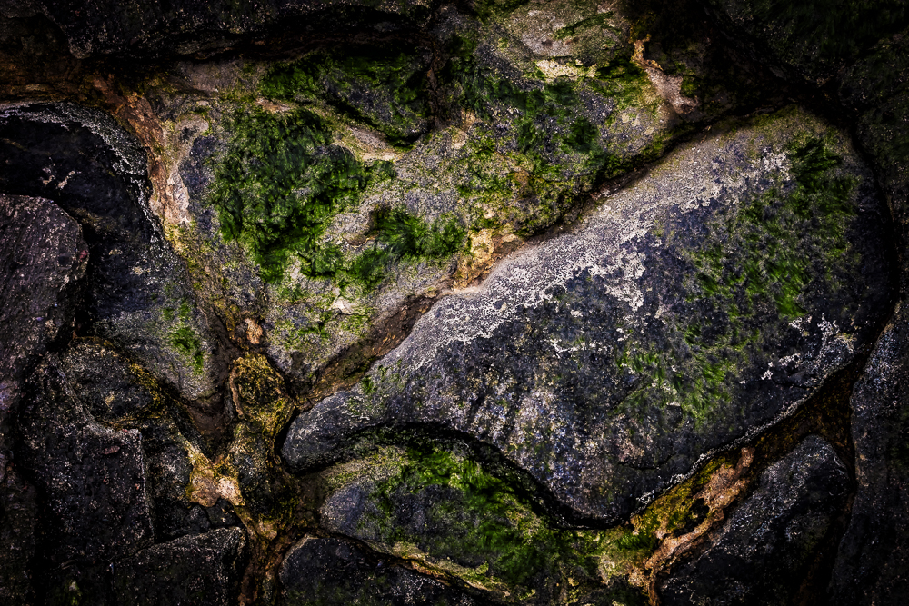 Stones Tar Algae