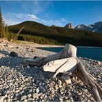 [ Stoney Beach ]