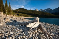 [ Stoney Beach ]