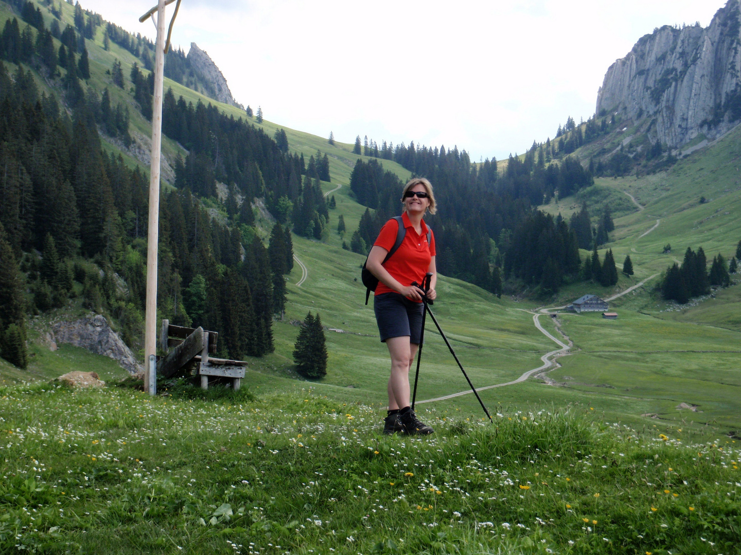 Stongenalpe, hinten Schreibere Sattel