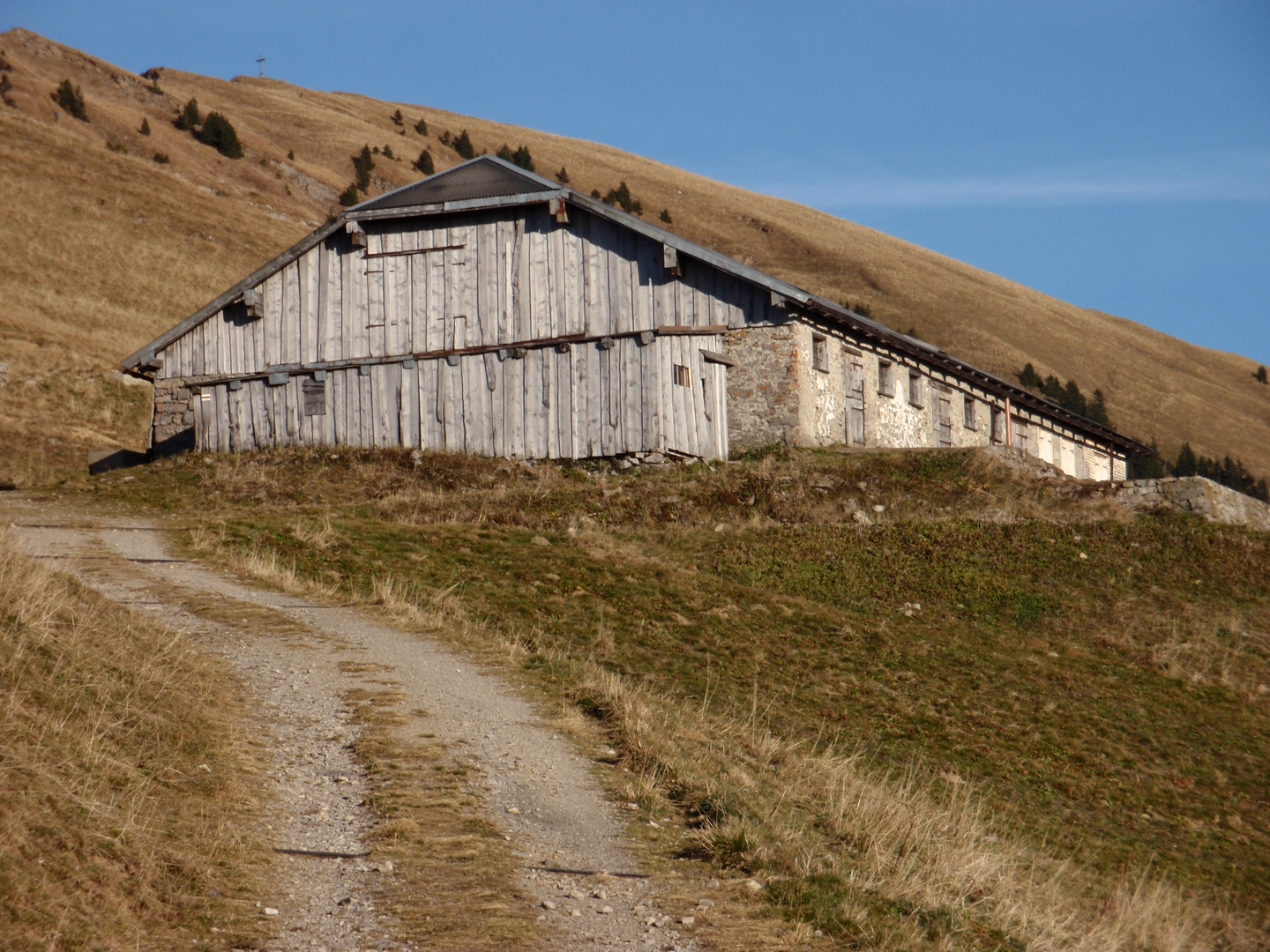 Stonger-Höhe mit Winterstaude