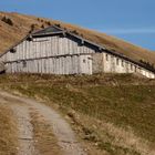 Stonger-Höhe mit Winterstaude