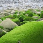 stony beach 1