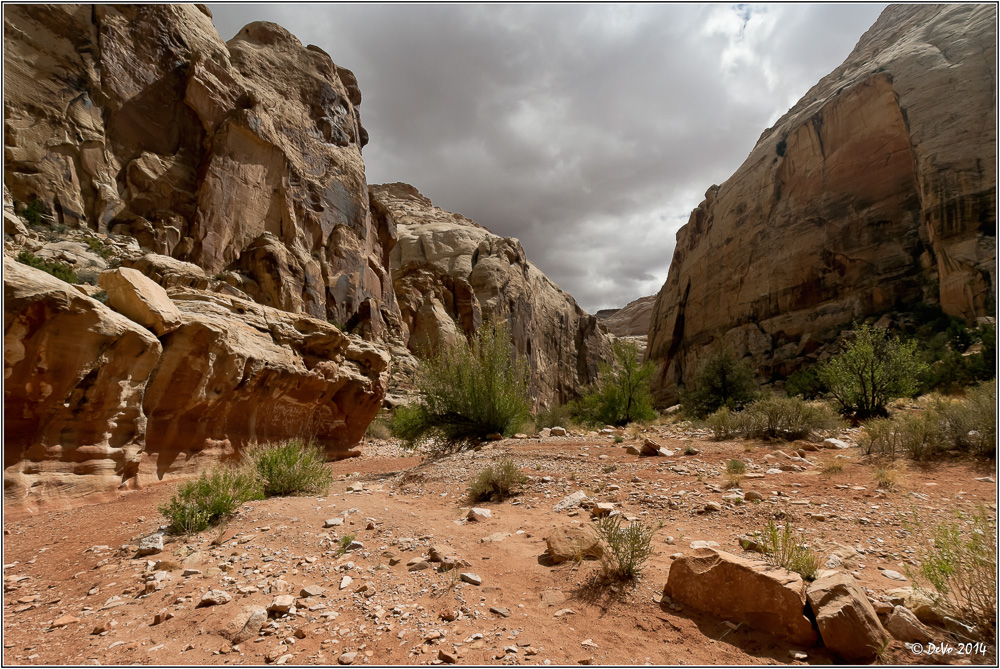 Stony Road