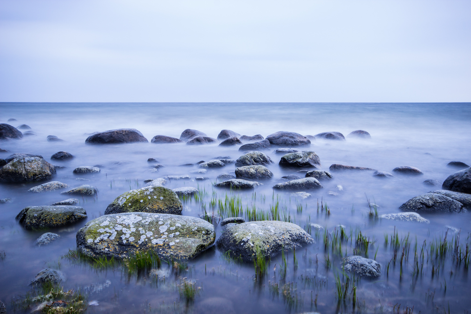 Stony Shore