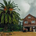 Stonyridge - Waiheke Island 