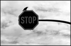 STOP