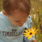 Stop and smell the flowers