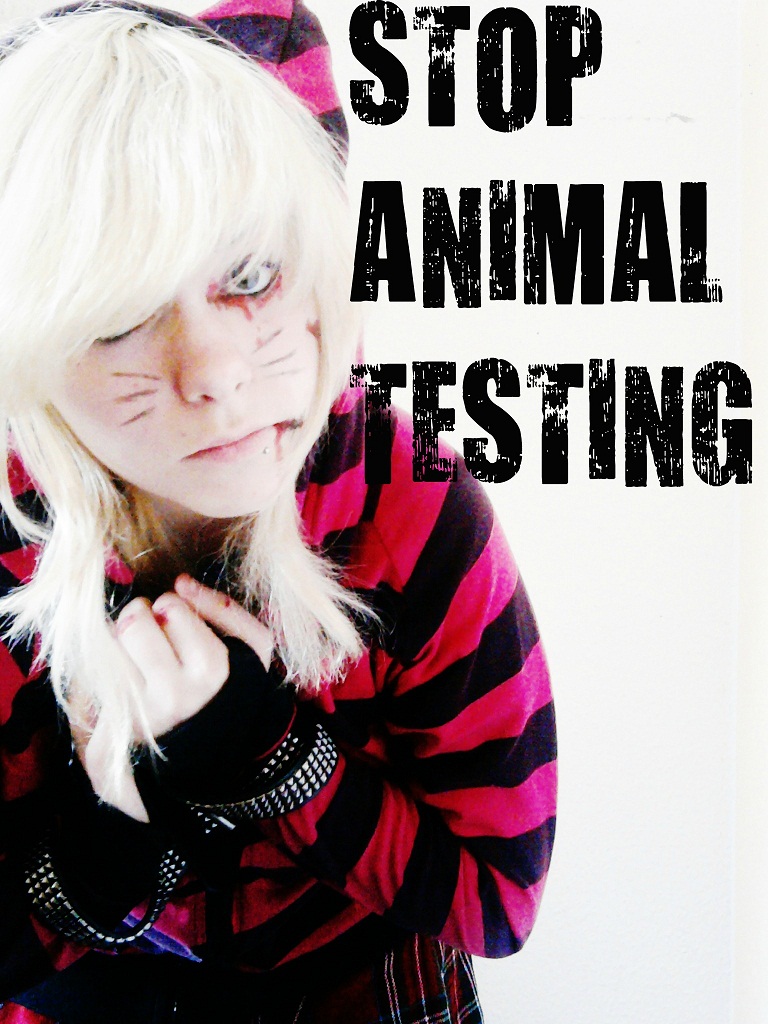 STOP ANIMAL TESTING