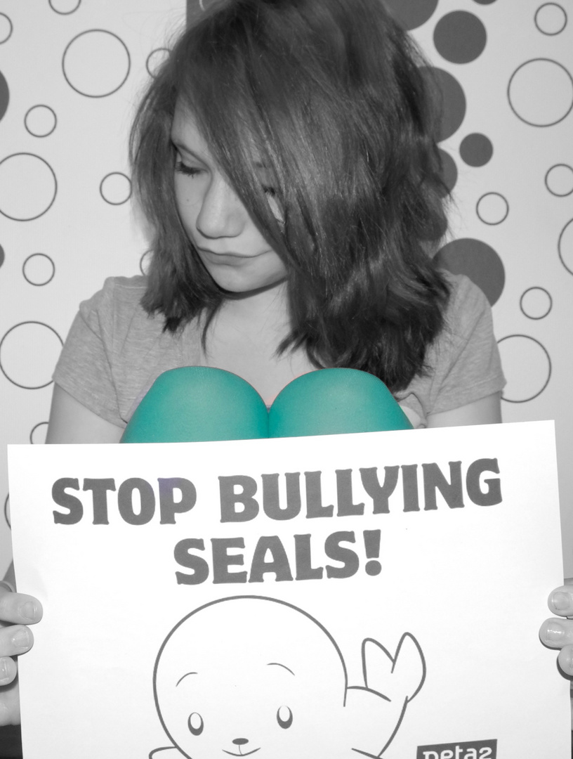 Stop Bullying Seals!