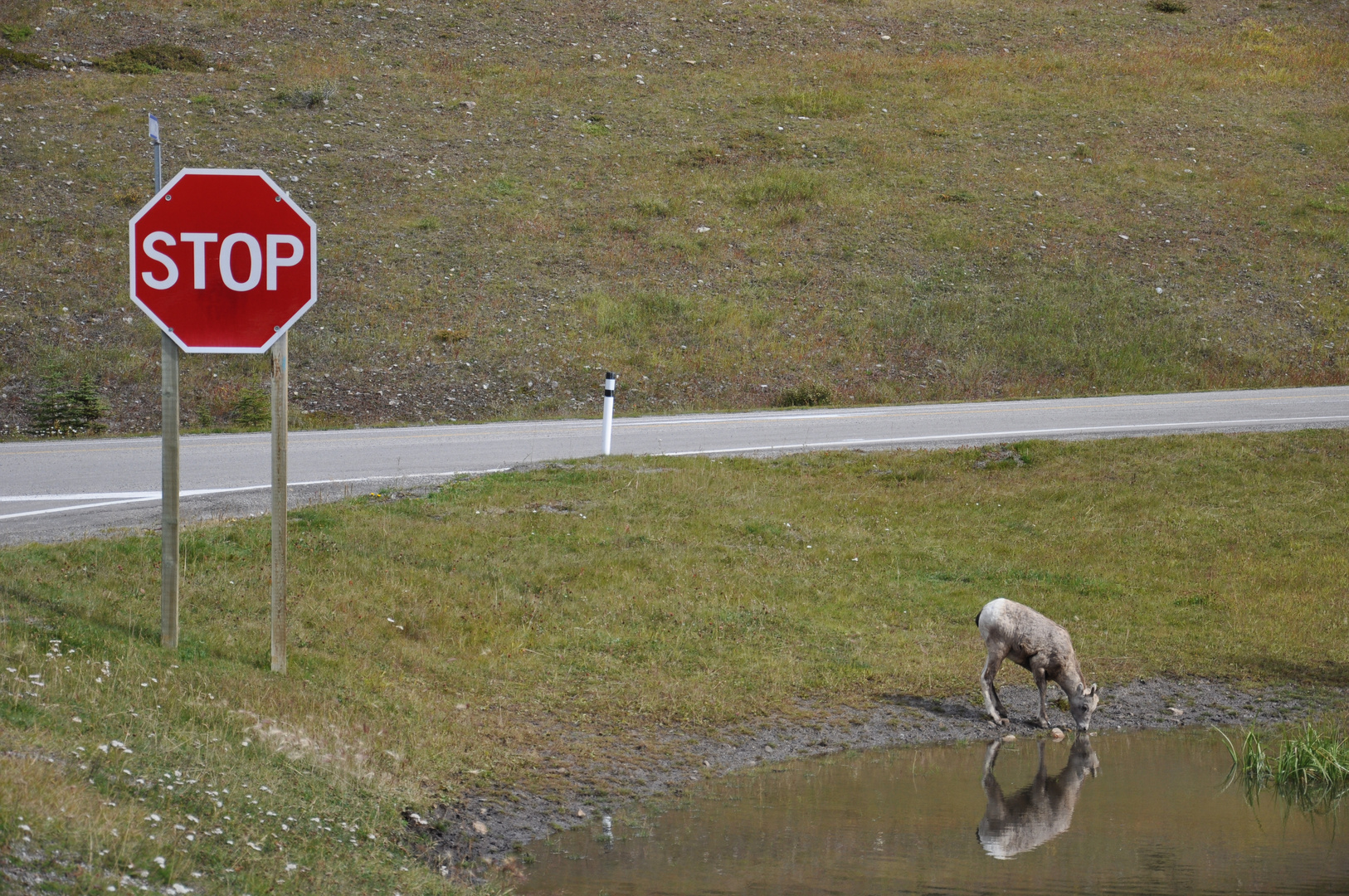 STOP drink slowly its cold