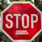 Stop eating animals