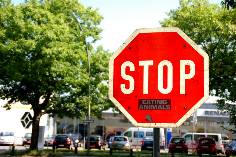 STOP! Eating animals