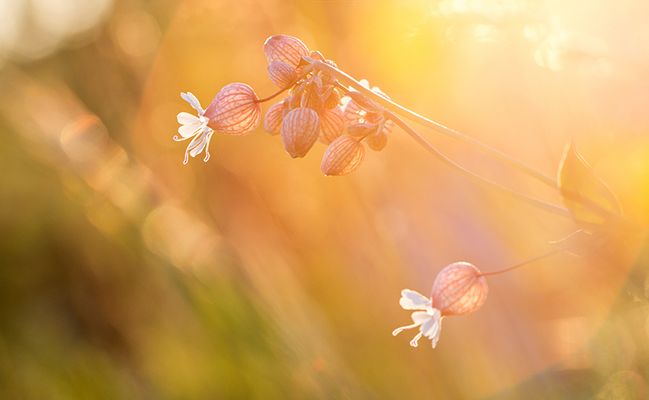 STOP! It's summer time