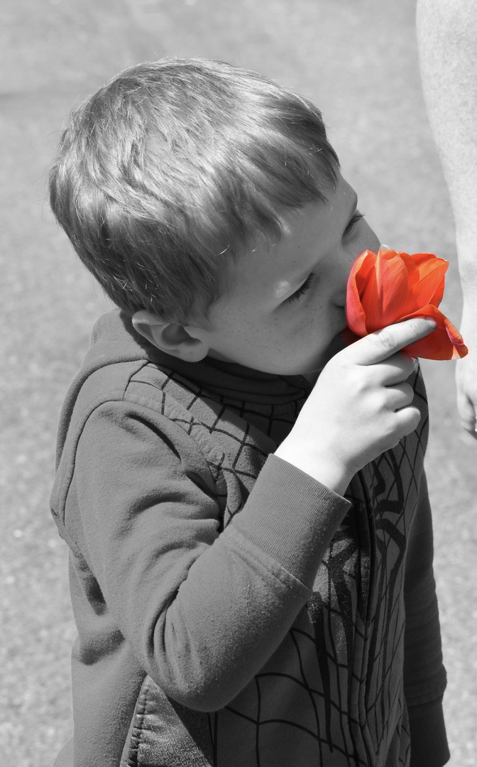 Stop to smell the flowers