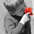 Stop to smell the flowers