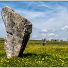 Stopover in Avebury