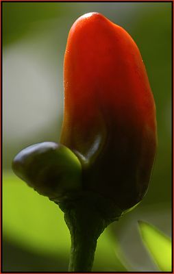 STOPP - ab hier wird's scharf!