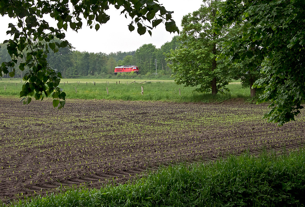 Stopp im Grünen