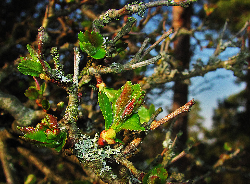 Stopp in der Natur...