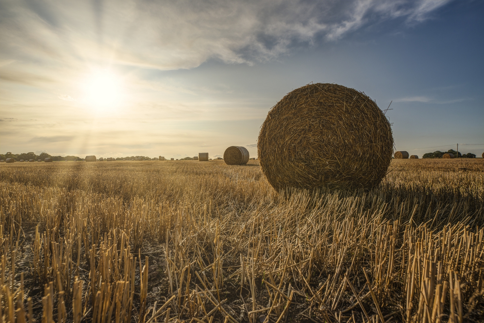 Stoppelfeld Foto & Bild stroh, gegenlicht, erntezeit Bilder auf
