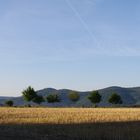 Stoppelfeld an einem Sommermorgen