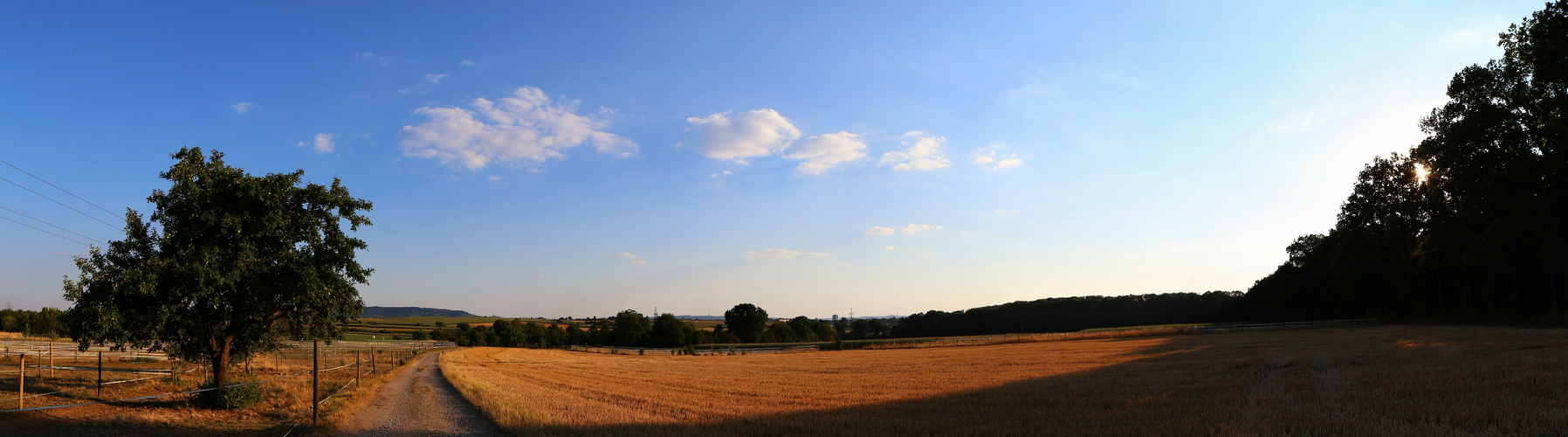 Stoppelfeld