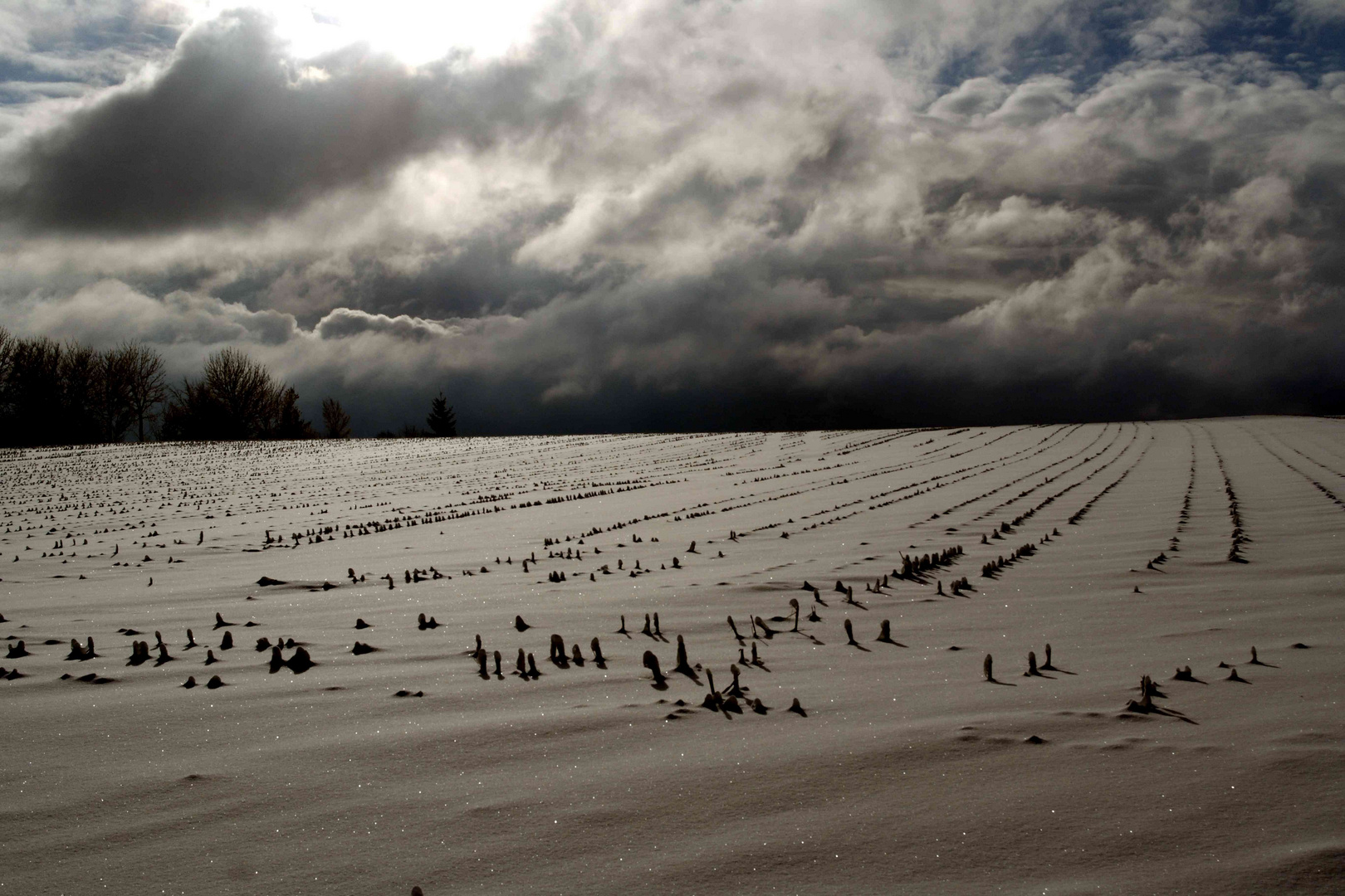 Stoppelfeld  im Glitzerschnee