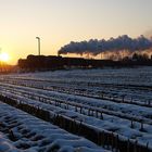 Stoppelfeld im letzten Licht