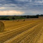 Stoppelfeld mit Abendhimmel