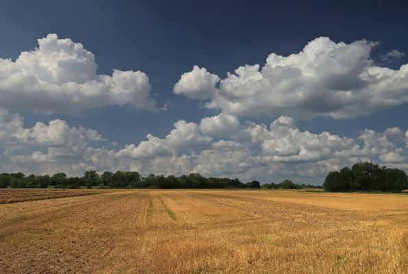 Stoppelfeld und Wolken