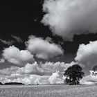 Stoppelfeld und Wolken