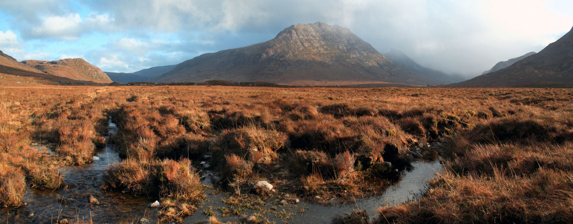 Stoppelhopsen im Fisherfield Forest