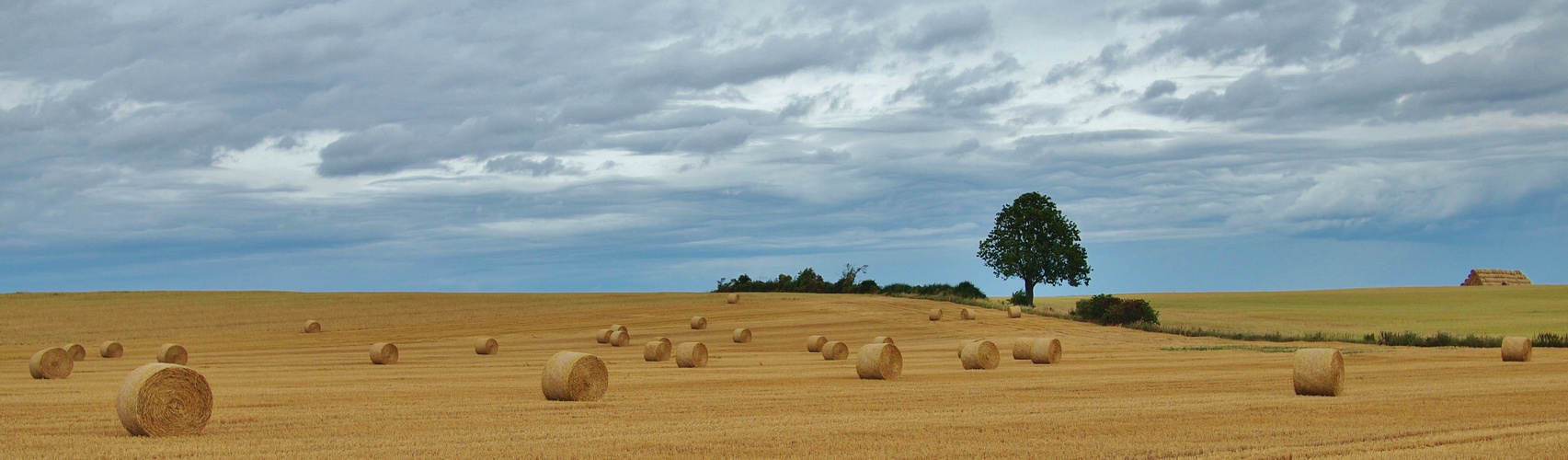 Stoppellandschaft