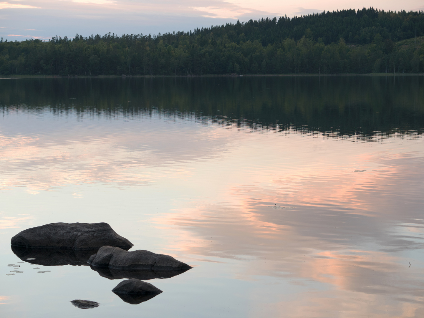 Stora Allgunnen