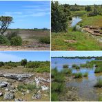 Stora Alvaret - Südöland