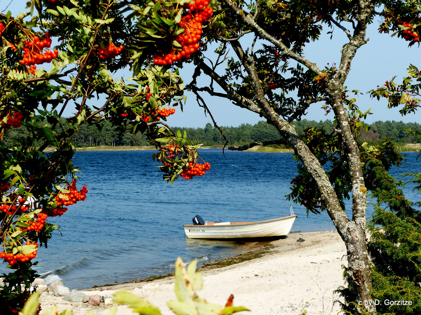 Stora Röskar - ein kleines Paradies in der Ostsee !