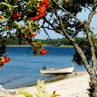 Stora Röskar - ein kleines Paradies in der Ostsee !