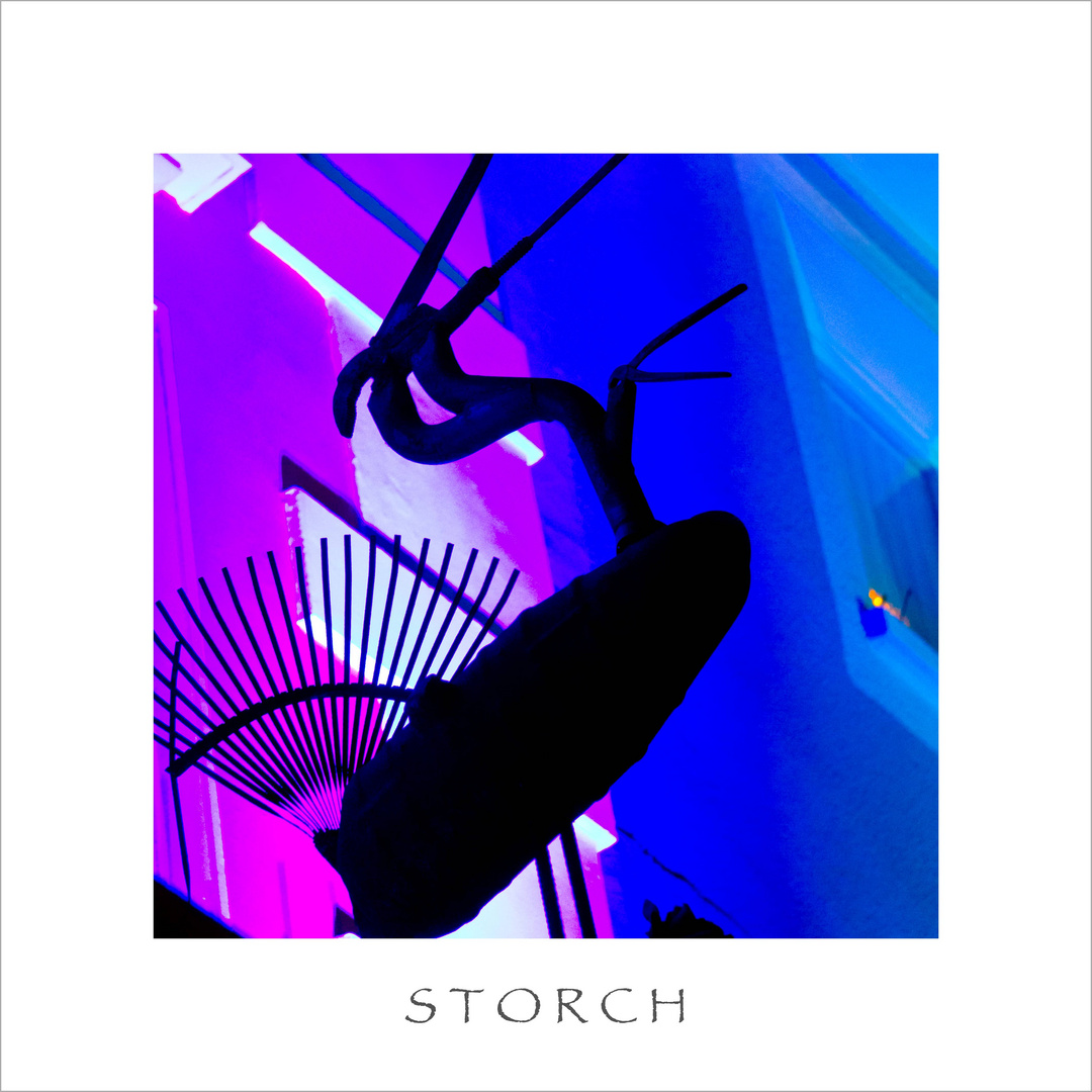 Storch