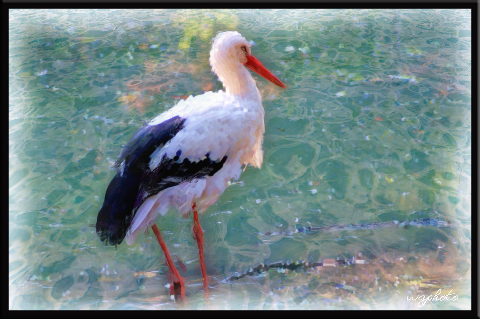 Storch am Teich Foto & Bild bearbeitungs techniken, digitale