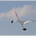 Storch - Drachen.