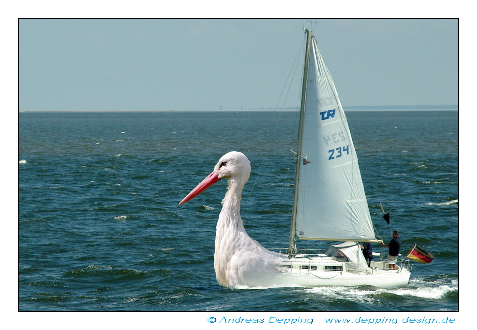 Storch Fock...