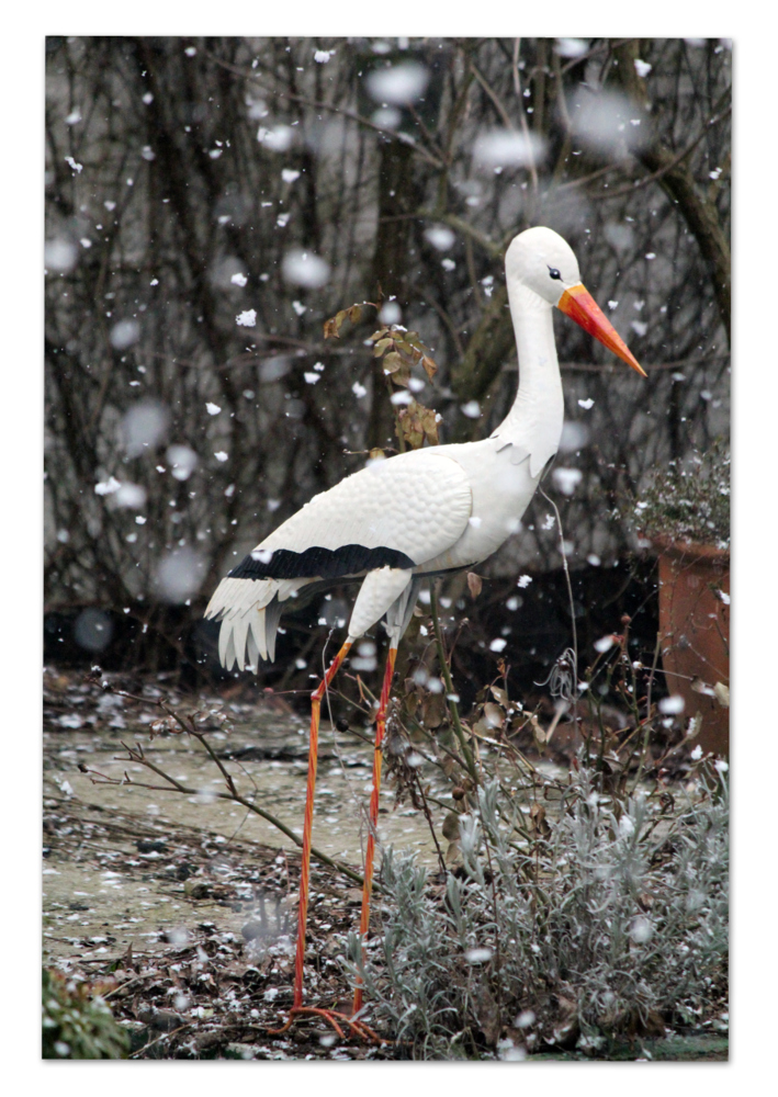 Storch im Schnee