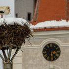 Storch in Cristian, Rumänien