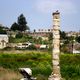 Storch in Ephesos